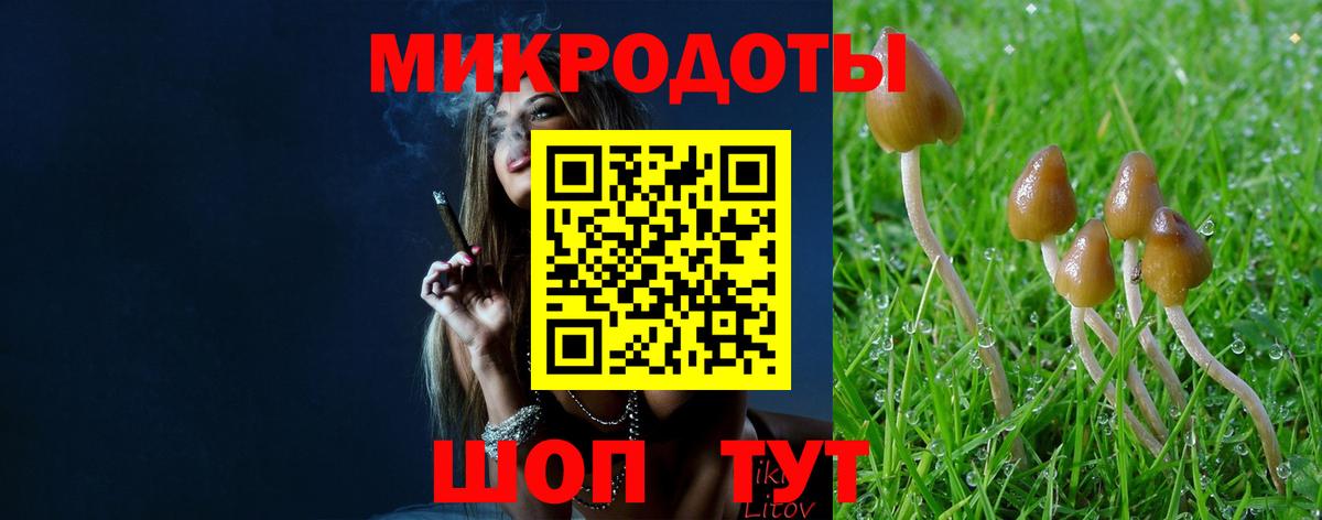 Галлюциногенные грибы прущие грибы  Вход с VPN  Заречный  Псилоцибиновые грибы Cubensis 
